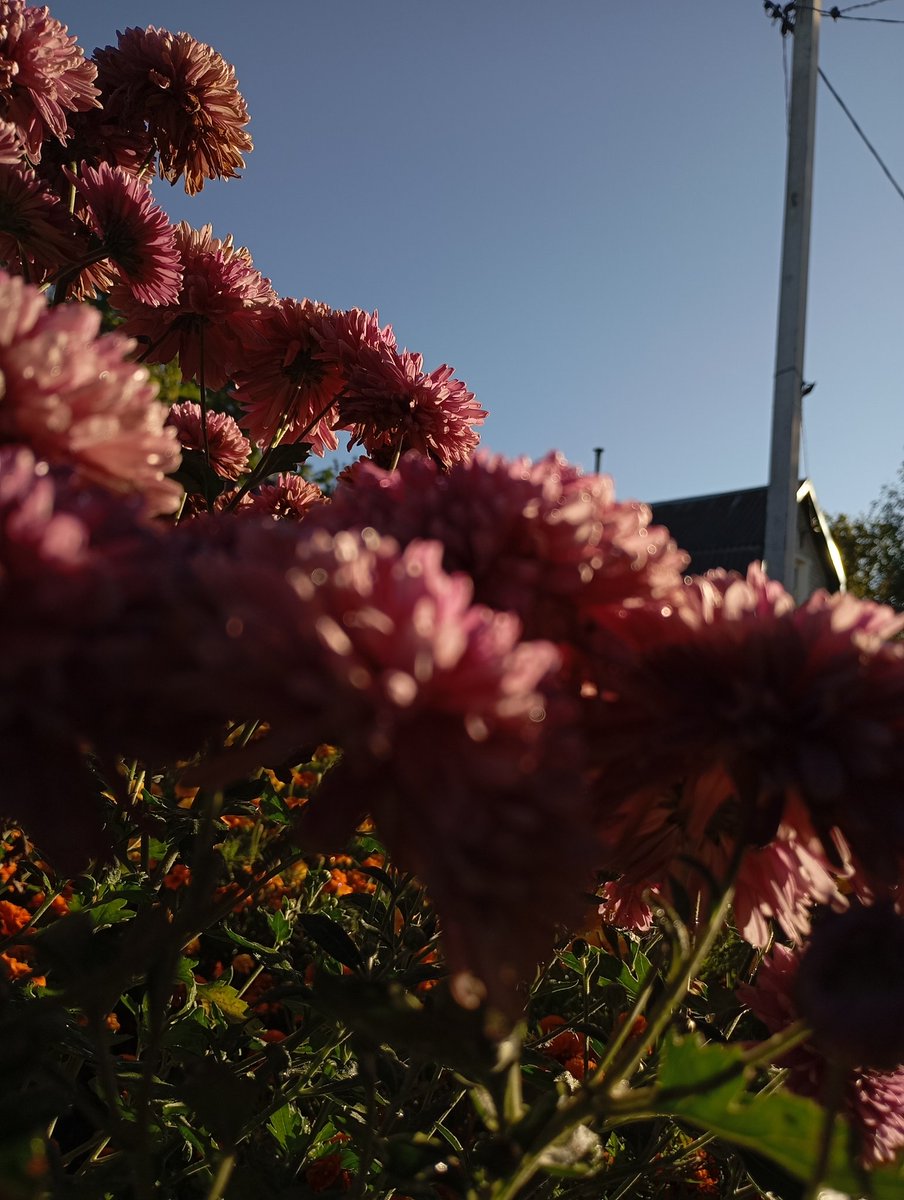 ворую
— экран блокировки
— последняя прослушанная песня
— 7 фотка с галереи

возьмите кто нибудь пжшкиии