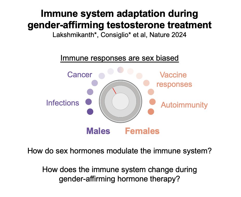 Happy to share my co-1st author paper in <a href="/Nature/">nature</a> on how the immune system adapts during gender-affirming hormone therapy with testosterone treatment (1/15) 

nature.com/articles/s4158…