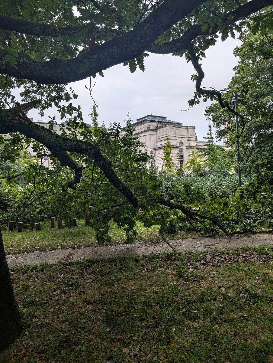 Cardiff Urban Park Rangers tweet media
