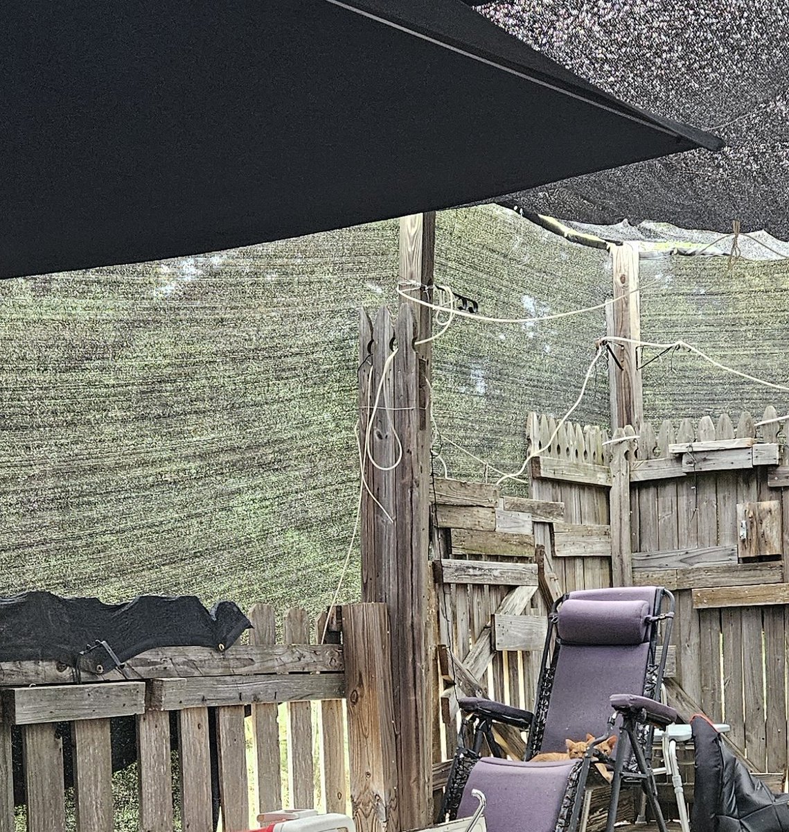 ASK4PAUL's tweet image. Happy Sunday morning.. #get2work..