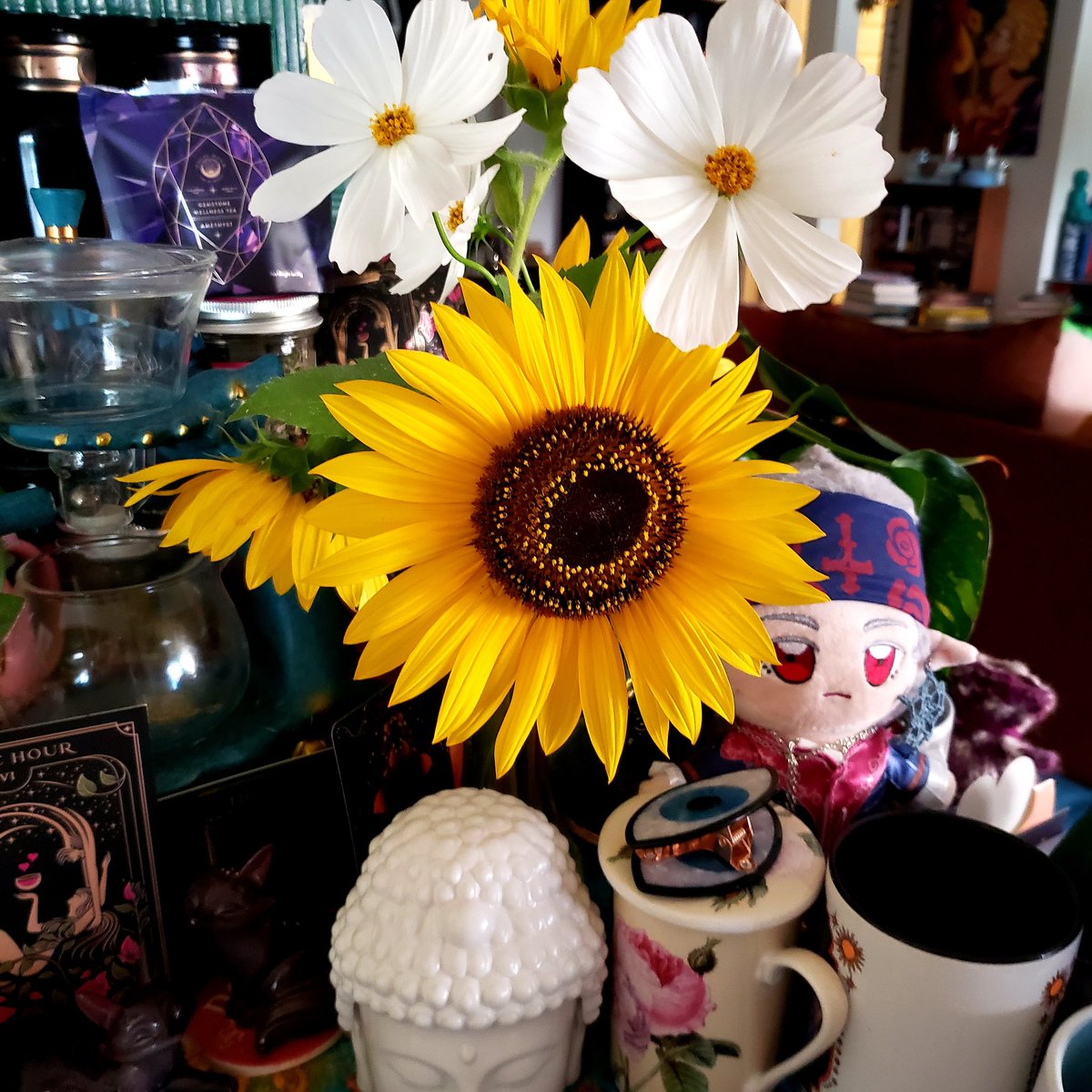 Blooms from my garden. Have a restful Sunday friends. #WritingCommunity #amwriting #writerslife