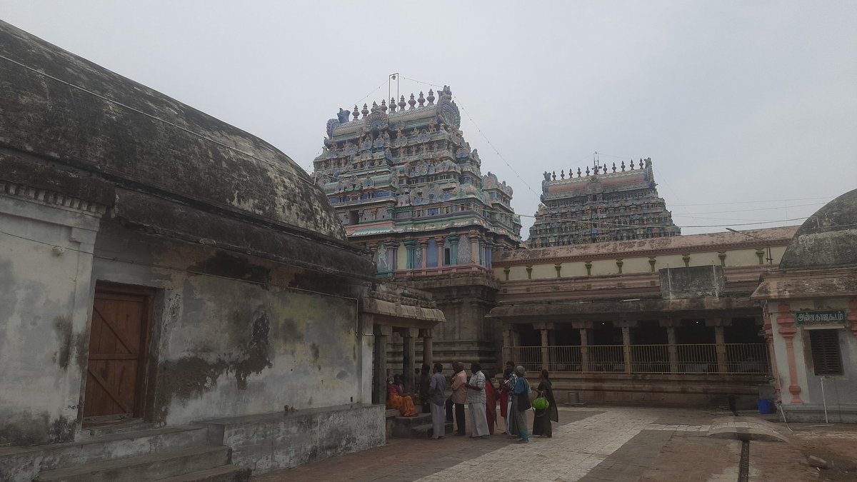 Cheems1007's tweet photo. திருவாரூர்
#எங்கள்டெல்டா ❤️🌾 https://t.co/Xqw4TPzkP5