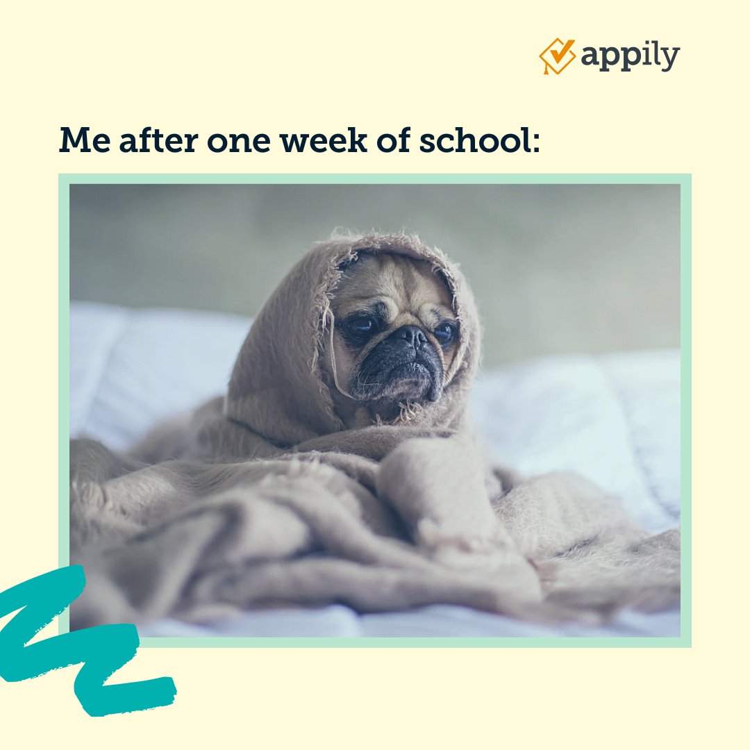 AppilyCom's tweet image. Can anyone relate 😫?
#collegememe #highschoolmeme #studentlife #fallsemester #backtoschool