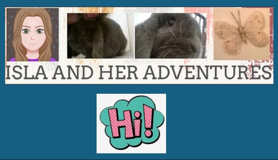 After my summer break, I'm back on my blog... Book review coming tomorrow and a 'Hi' post there today 😀 islaandheradventures.blogspot.com