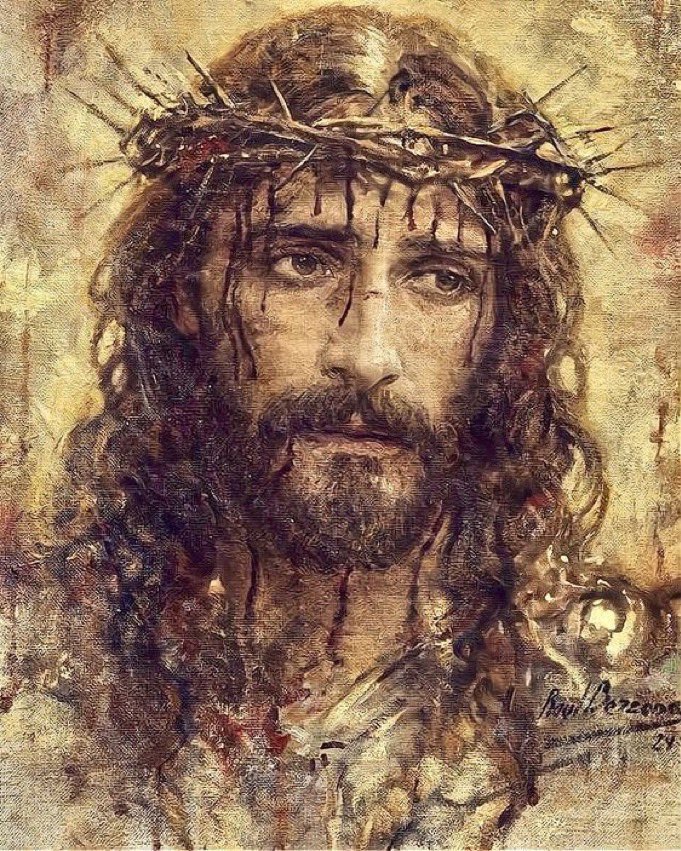 CatholicVote's tweet image. Christ is King. Go to Mass.