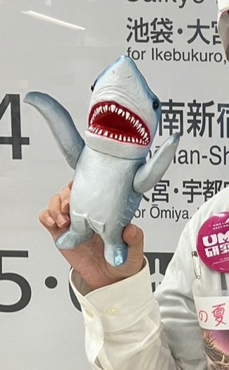 ラブシャー君のソフビをいただきました！！ #ラブシャーク で僕が演じ