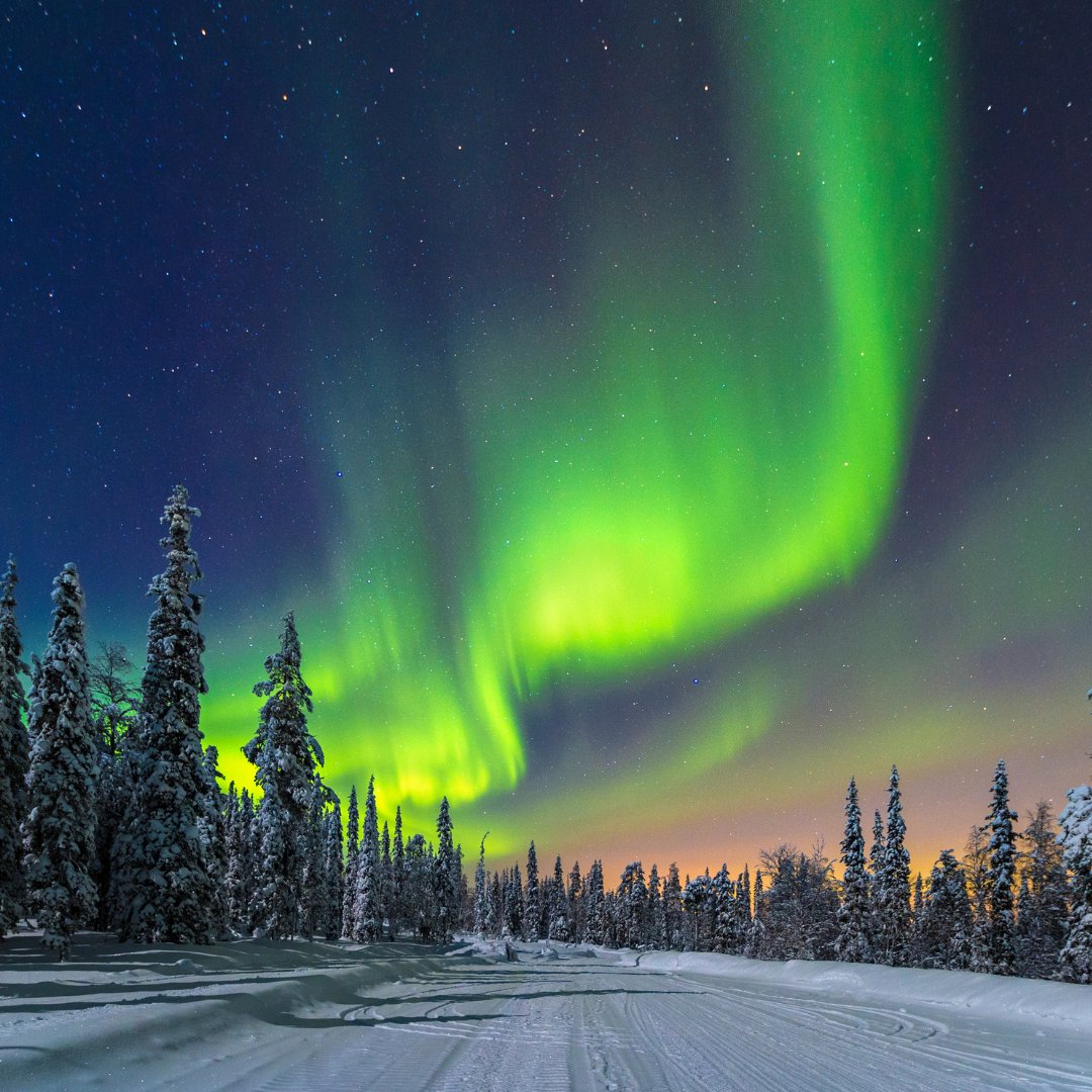 Alifetimetrip's tweet photo. Chasing the Northern Lights in Iceland 🌌❄️
Witness nature's most magical light show under the Arctic skies. The auroras are calling—are you ready to experience the Northern Lights like never before? 🌟🌿
#NorthernLights #ALifetimeTrip #IcelandMagic #AuroraBorealis #alttrips https://t.co/45z56iGmw2