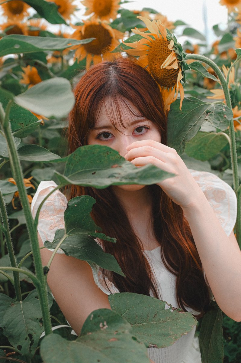 Kotone (@sk05COCCO) / Posts / X