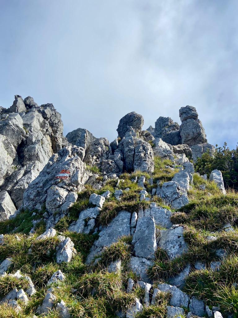 Saliinvetta's tweet photo. ๐ Traversata Alta e Val Campione, nel gruppo delle Grigne (Lc)
Che spettacolo ๐ โ
๐ Qui trovate tutti i dettagli :
https://t.co/9yfKtjPnX7
#traversataalta #grigna #grignetta #valsassina #view https://t.co/Ru09SfKDRL