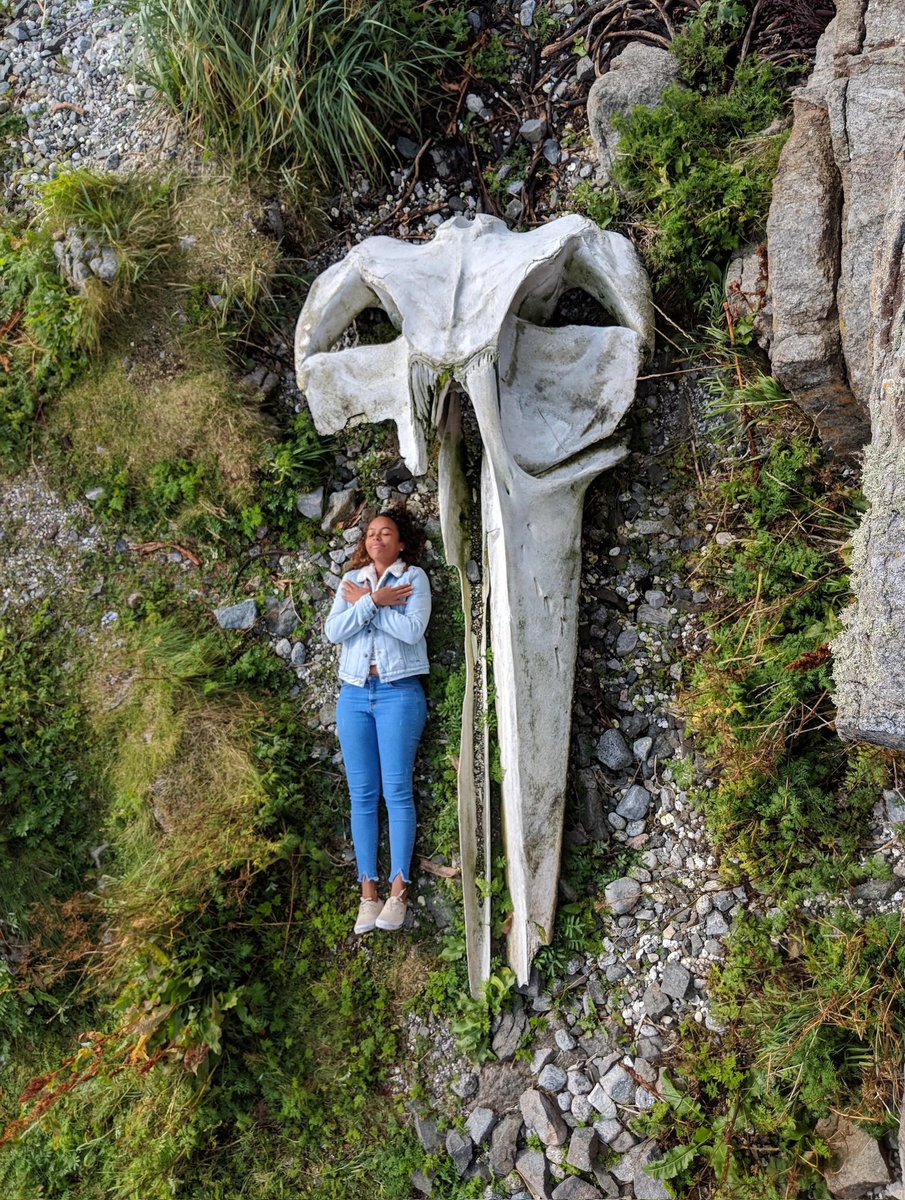 Global Index tweet media