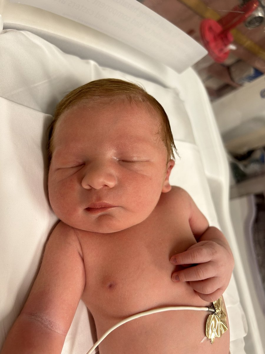 mashmore98's tweet image. We finally got to welcome William Joseph Ashmore into the world yesterday morning. He is absolutely perfect, and his mother is a total rockstar after a lengthy failed induction process and C section after. Everyone’s doing well. Keeping that redhead pride going :)