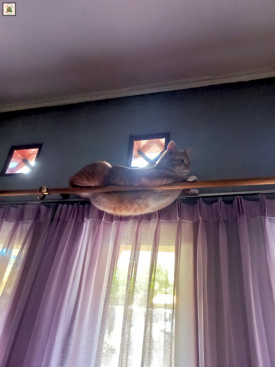 binnietaa's tweet photo. How's it up there, dwaekki?

#skzoo #SKZOOfanart #dwaekki https://t.co/4XgEjHcWhD