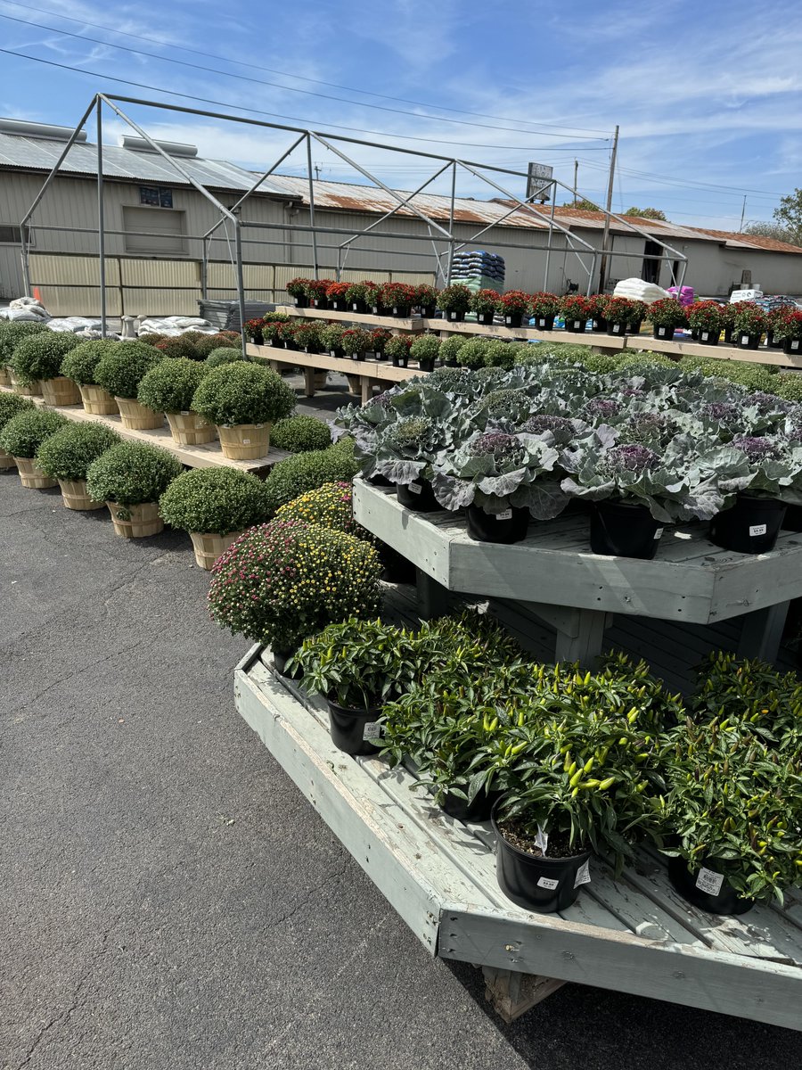 ACE Hardware of Rome tweet media