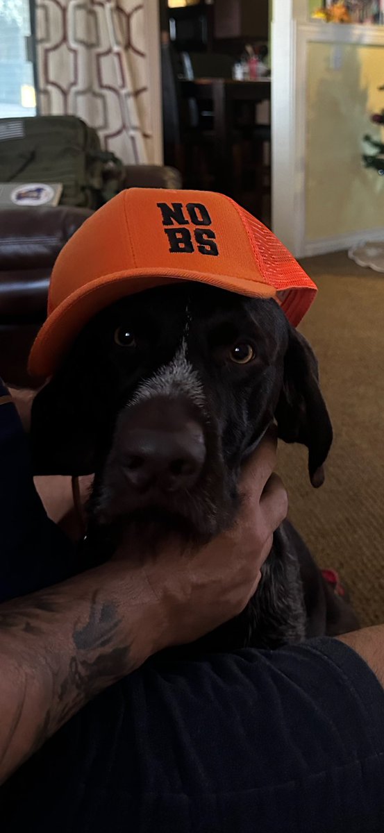 You don’t want to miss tomorrow’s episode of the No BS with Jim Farrell podcast with our friend Kait Marie! Hear her story of attaining a dream and losing that dream far to early into her career @SPD. #reppinNOBS #NOBS