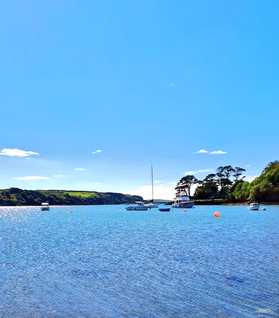 Eilish Sutton tweet media