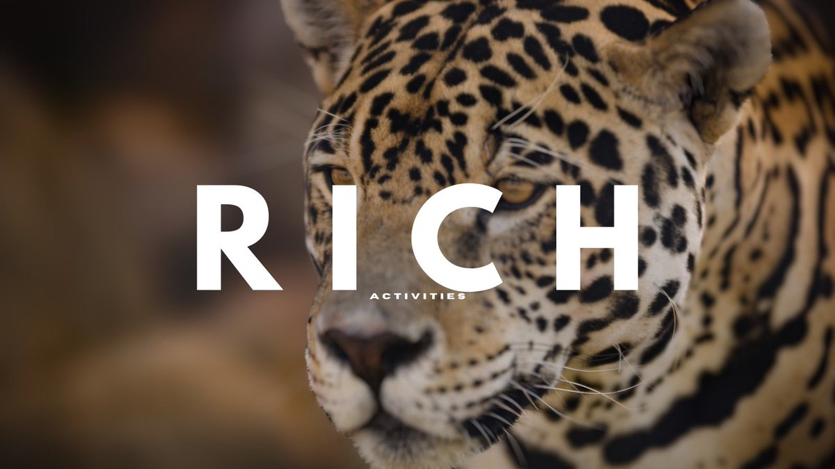 rich_activities's tweet photo. 📍 24/7 Houston’s Bandana Stop Shop 🛍 

Now Open 🐆 https://t.co/EIJVapqNZE https://t.co/Ov23KPRa9Z