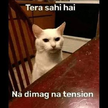 मकडा पीटर🕸️ tweet media