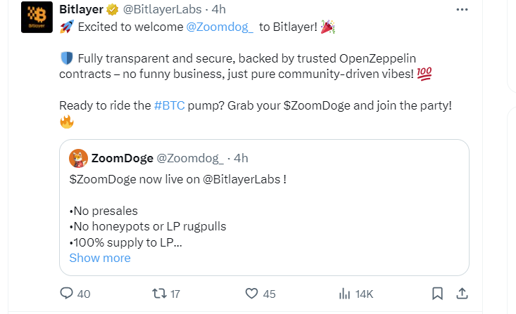 真的太魔幻了这个圈子 <a href="/BitlayerLabs/">Bitlayer</a> 官方推的东西都能直接RUG跑路
dev格局太低了，0.5BTC也跑？