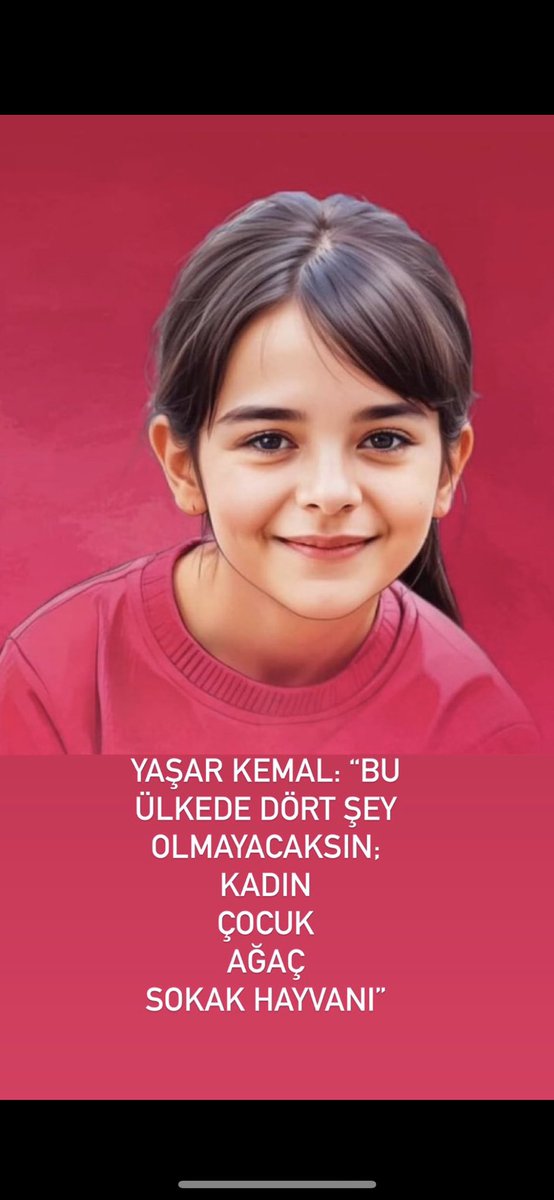 Vay anam vay, vay anam vay. Canım Narin. Biz nasıl kalkarız bu utancın altından bilemedim. Başımızı mı eğsek, yoksa inadına dim-dik durup tam da Can baba gibi mi sövsek ağzımızın dolusuyla, bu şerefsiz insanlara bilemedim. Öyle bakma bana kurban olduğum! Nasıl kıydılar sana?