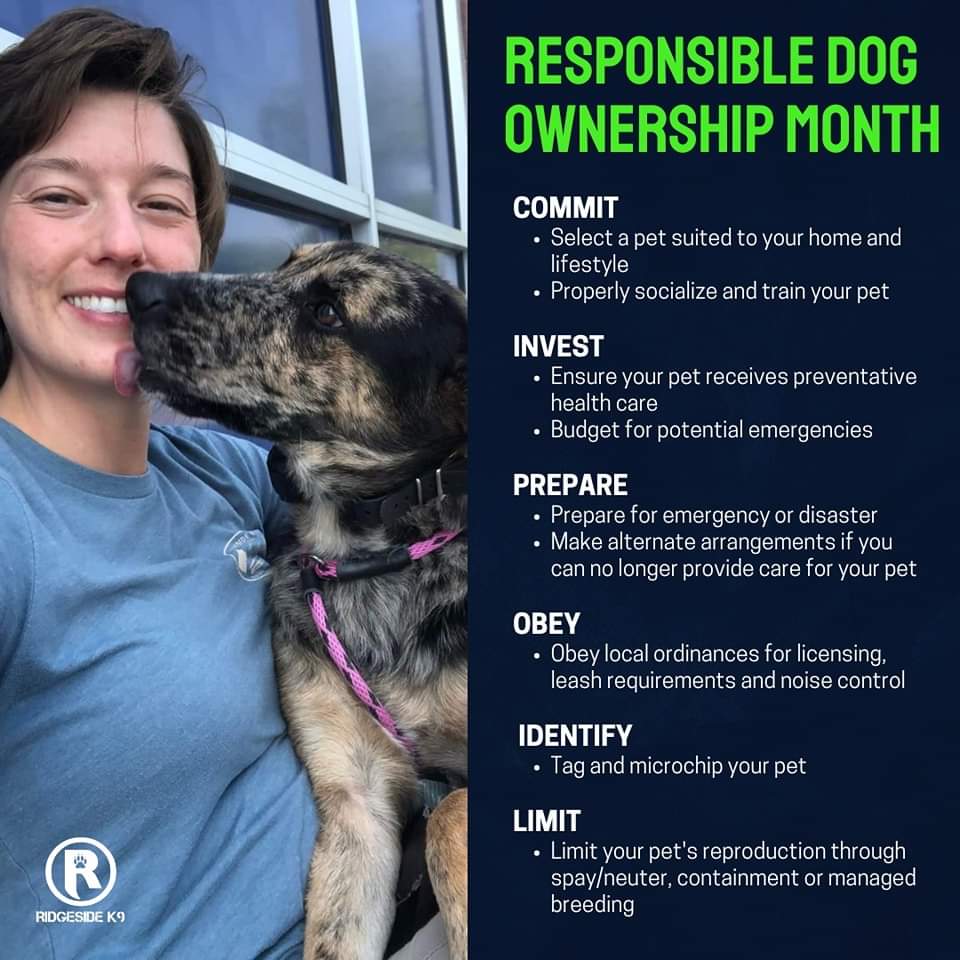 Ridgeside K9, LLC tweet media