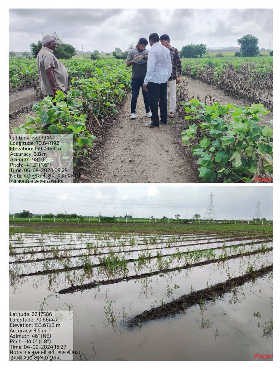 ઓગસ્ટ 2024 માં પડેલા ભારે વરસાદના કારણે થયેલા ખેતી પાકોમાં નુકસાનીનો સર્વે રજાના દિવસોમાં પણ સર્વે ચાલુ રાખી સર્વે કરવામાં આવ્યો.<a href="/RaghavjiPatel/">Raghavji Patel</a> <a href="/CollectorRjt/">Collector Rajkot</a> <a href="/DDORAJKOT1/">District Panchayat Rajkot</a> <a href="/DaoRajkot/">DAO Rajkot</a> @AgriLodhika1972 <a href="/Gramsevak1972/">Rajkotdisgsmandal</a> <a href="/RasikRa91002385/">Rasikbhai dhoradiya</a> <a href="/Dhaval_R_C/">Chandravadiya. Dhaval. R.</a>