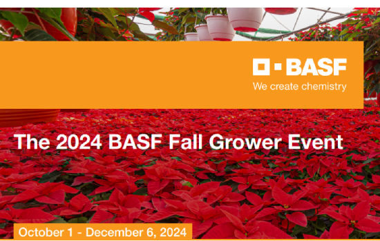 Enjoy instant savings on Fungicides insecticides and herbicides with our Fall Grower Event! Receive special pricing and extended payment terms. bit.ly/3QhAg2k