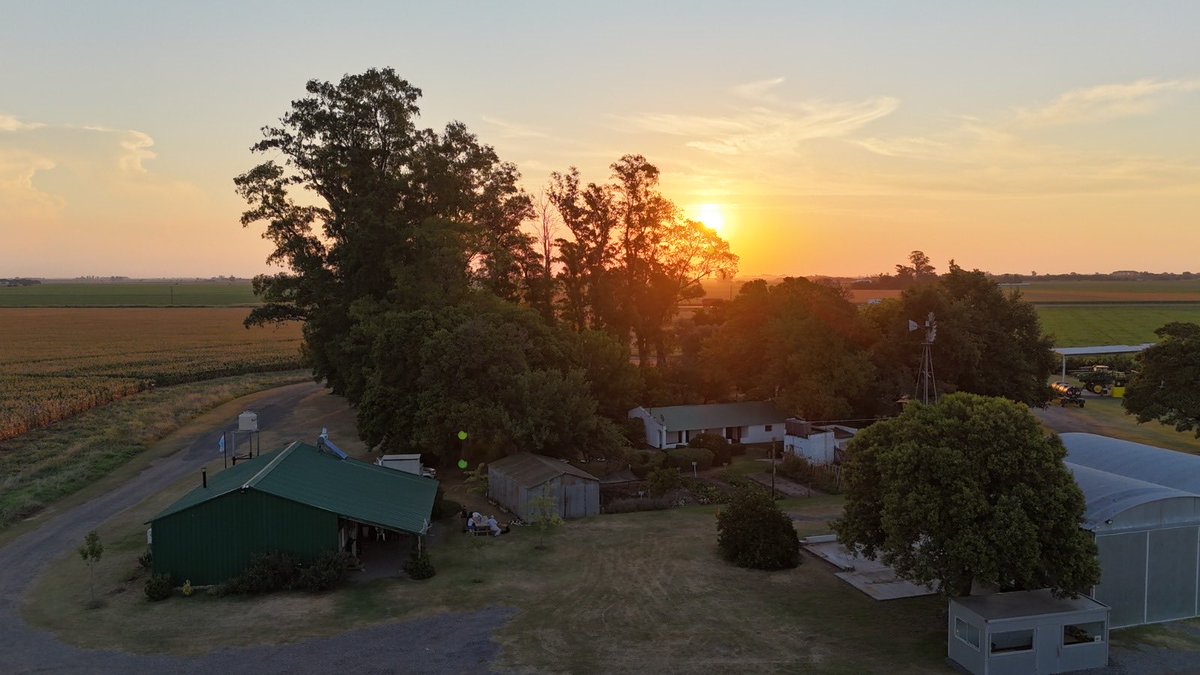 Carlos Testa tweet media