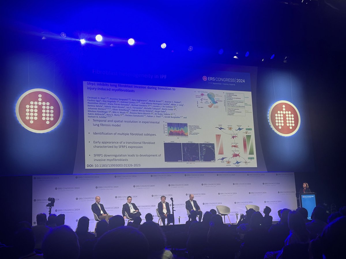 Michael Gerckens tweet media