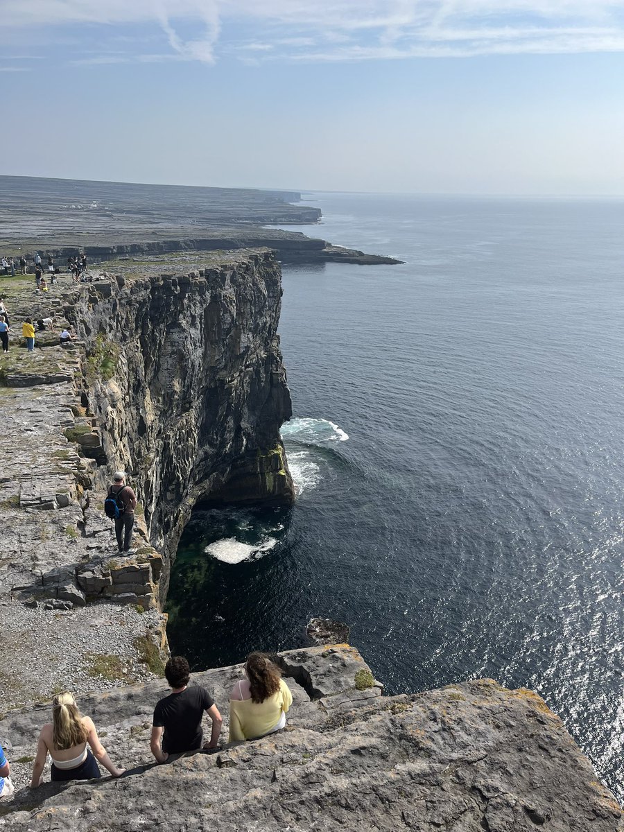 Andrew Macklin tweet media