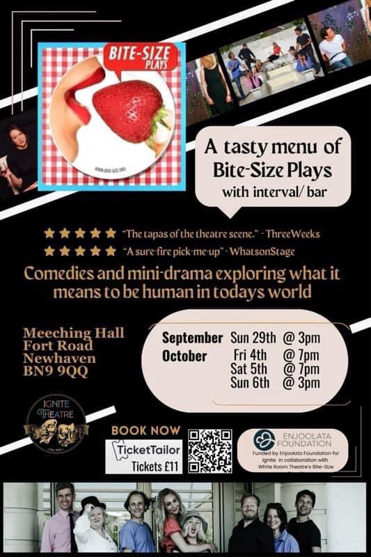 Bite-Size Plays tweet media