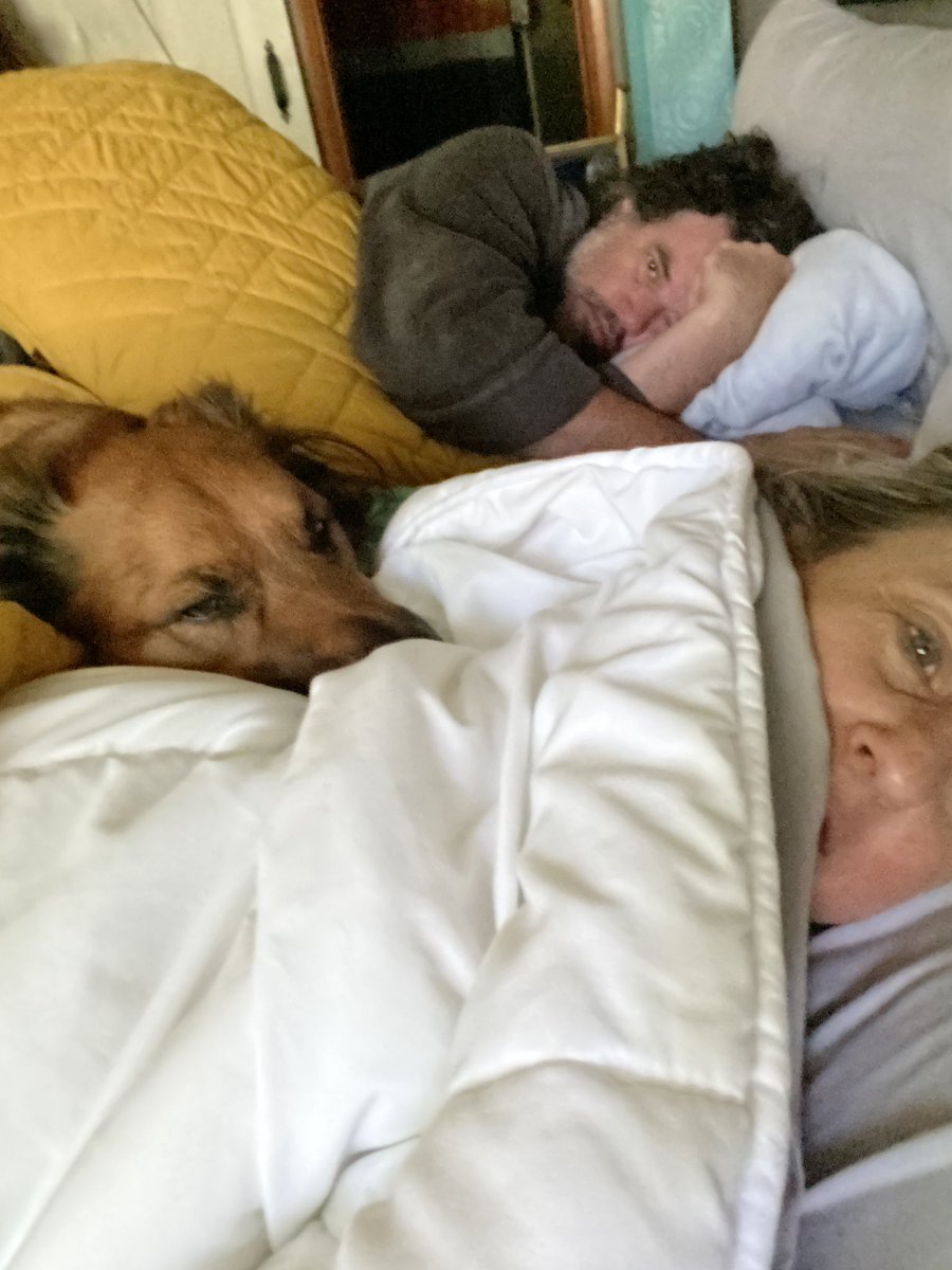 stateoflynn's tweet image. Joey cannot figure out why we try to sleep in HER bed every night. Smh. #insomniaproblems