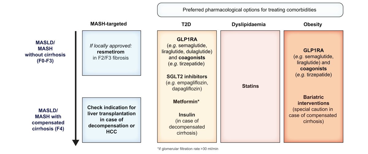 Keith Siau (@drkeithsiau) on Twitter photo New guidelines for MASLD <a href="/JHepatology/">Journal of Hepatology</a> 📌
1️⃣ New classification system
2️⃣ Differential diagnoses
3️⃣ Lifestyle management
4️⃣ Medical management
journal-of-hepatology.eu/article/S0168-… New guidelines for MASLD <a href="/JHepatology/">Journal of Hepatology</a> 📌
1️⃣ New classification system
2️⃣ Differential diagnoses
3️⃣ Lifestyle management
4️⃣ Medical management
journal-of-hepatology.eu/article/S0168-…