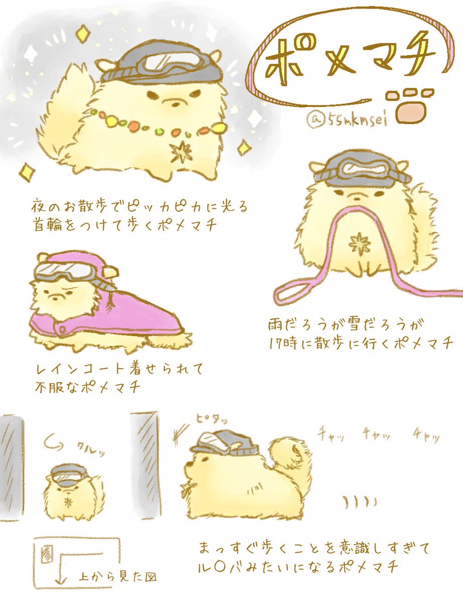 ポメマチ　※マチルダポメ化