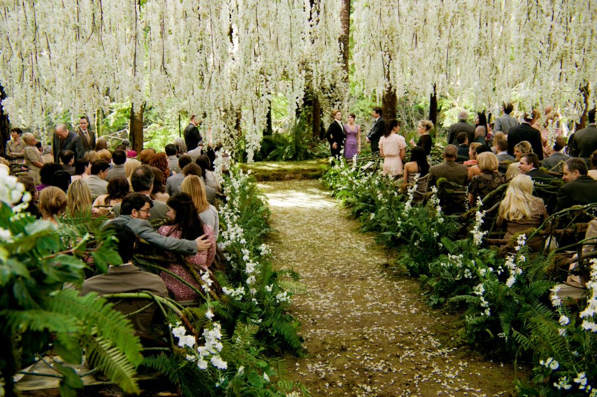 A mi no me engañan, Gabriela Tafur &amp; Esteban Santos se inspiraron en la boda de Edward Cullen y Bella en Amanecer Parte 1, De Crepúsculo.
#SantosTafur