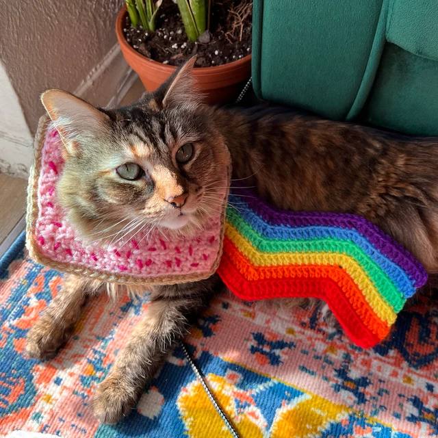 IRL on Solana tweet media