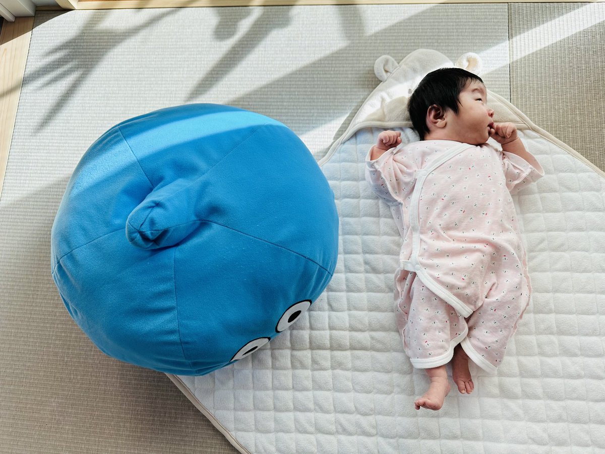 【私が実際に気を付けていたこと】

「朝は必ず日光浴」

新生児の頃は実家暮らしだったので、
8時〜10時頃に起きてきた娘を
授乳だけ済ませたら
太陽の光が当たる部屋に移動して、
また寝かしつける👶🏻💤

とゆうことを、
天気に関係なくしてました☔️(今も

結果→生活リズムがつくのが早かった✨