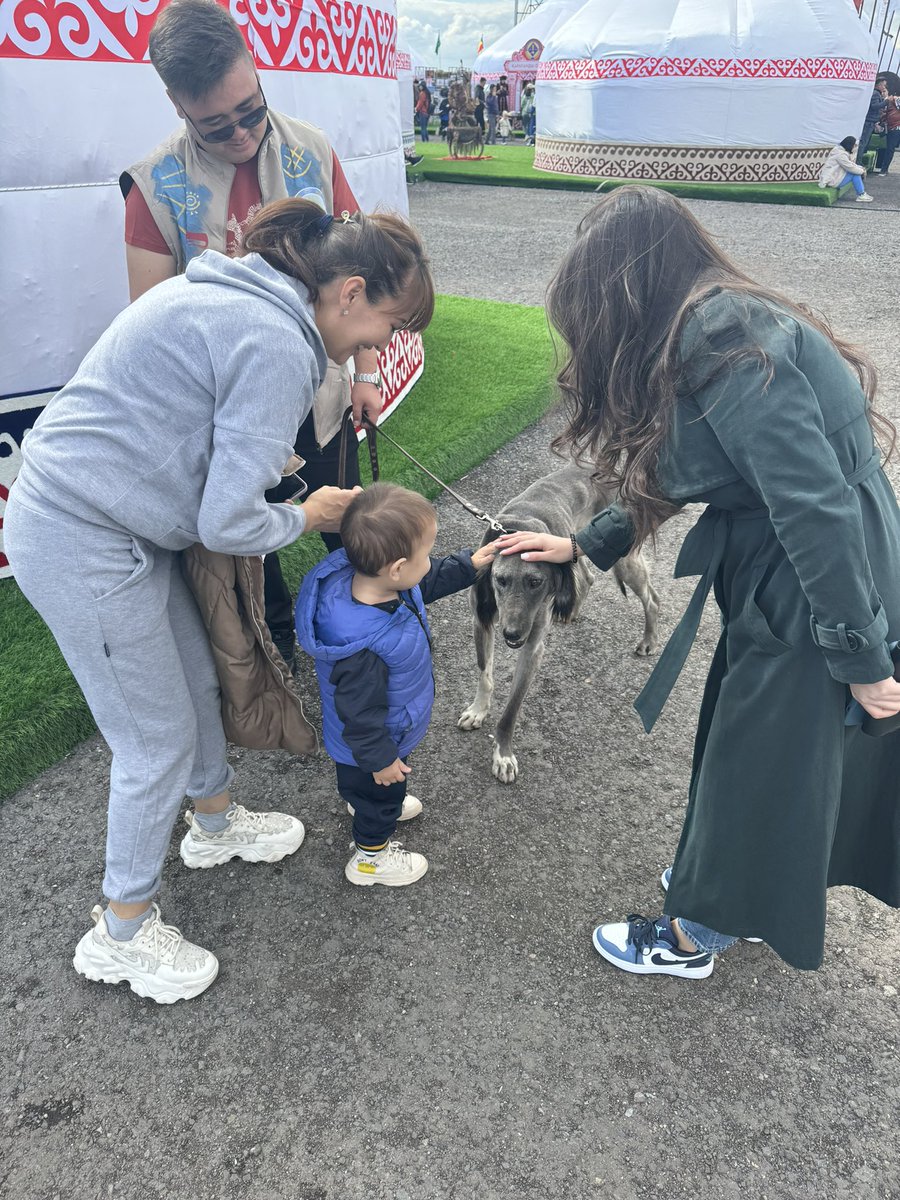 stdalmat's tweet image. Сходили сегодня на Всемирные игры кочевников @Nomadgames_2024