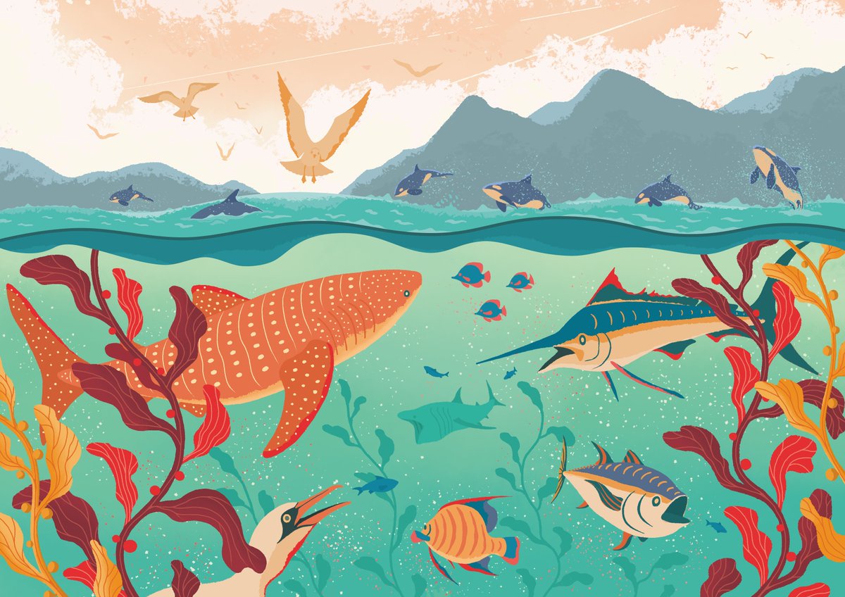 bighippoart's tweet image. Listen to the Sea. ⬇️ #SundayFishSketch