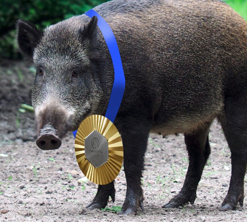 🚨 ALERTE MÉDAILLE 🚨