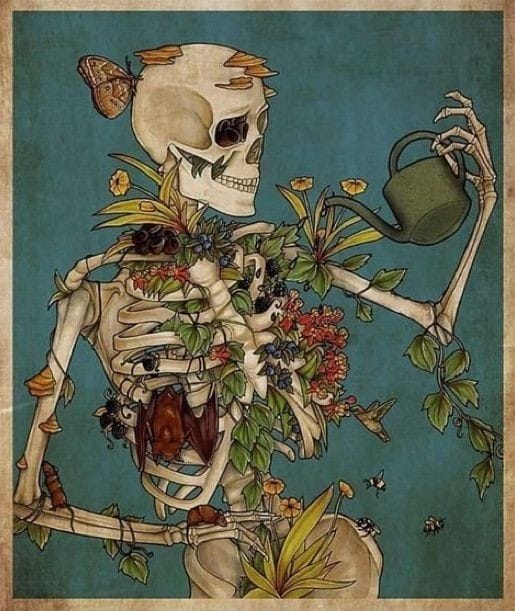 Story Time With Ms Nikki tweet media