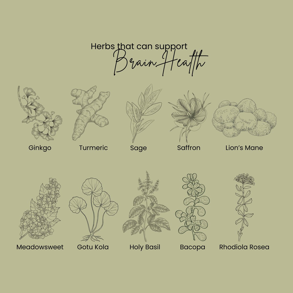 Enerhealth Botanicals tweet media