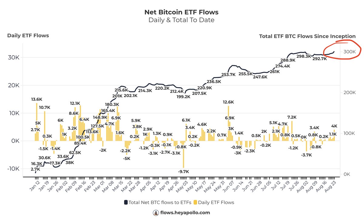 Altcoin Daily tweet media