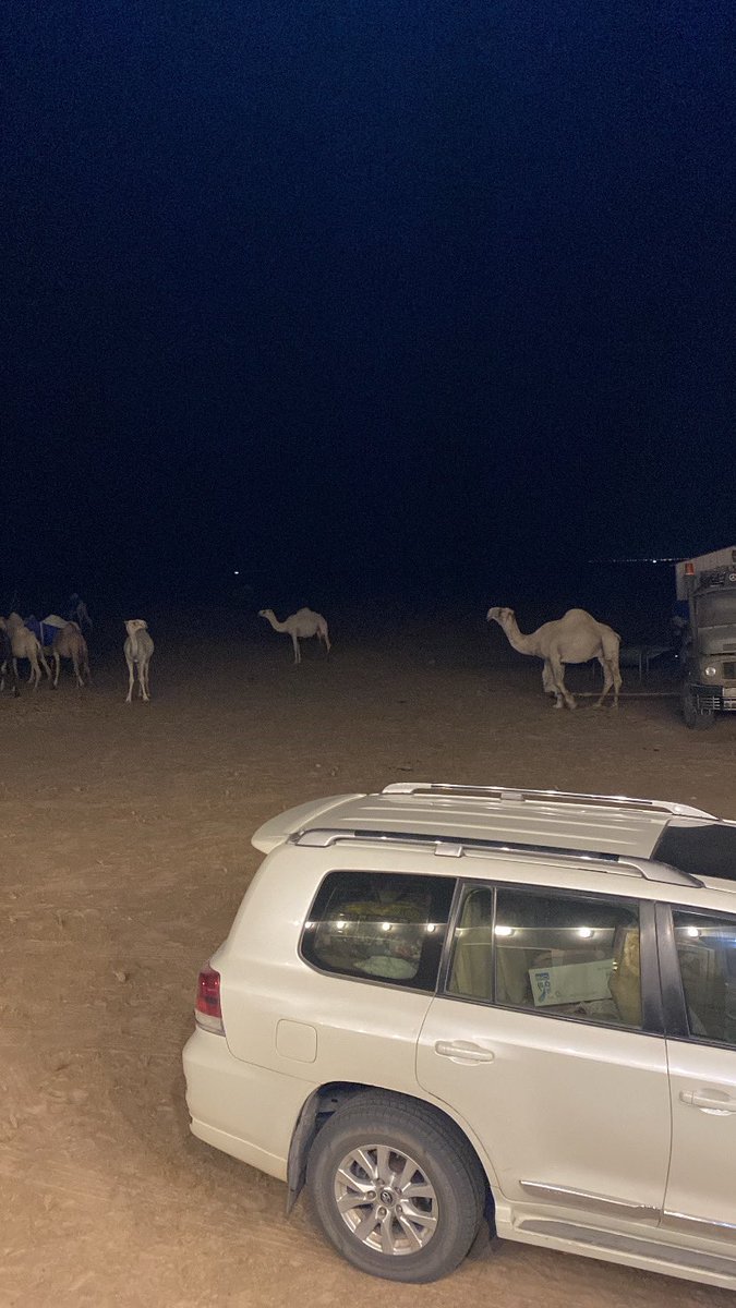 يقولون البدُو عاند الجرح يبرى .