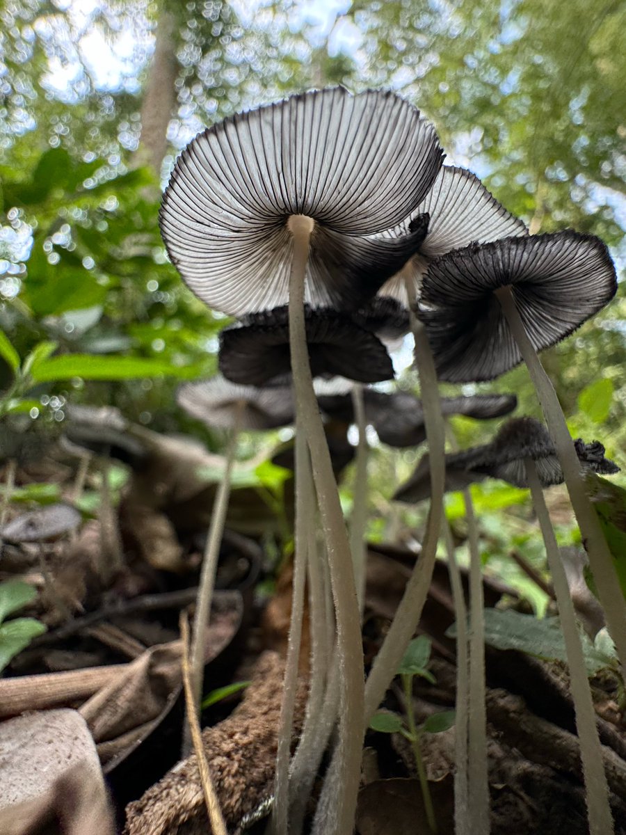 Hep yukarıdan bakanlar, bir kere de alttan bakmayı düşünemediler…