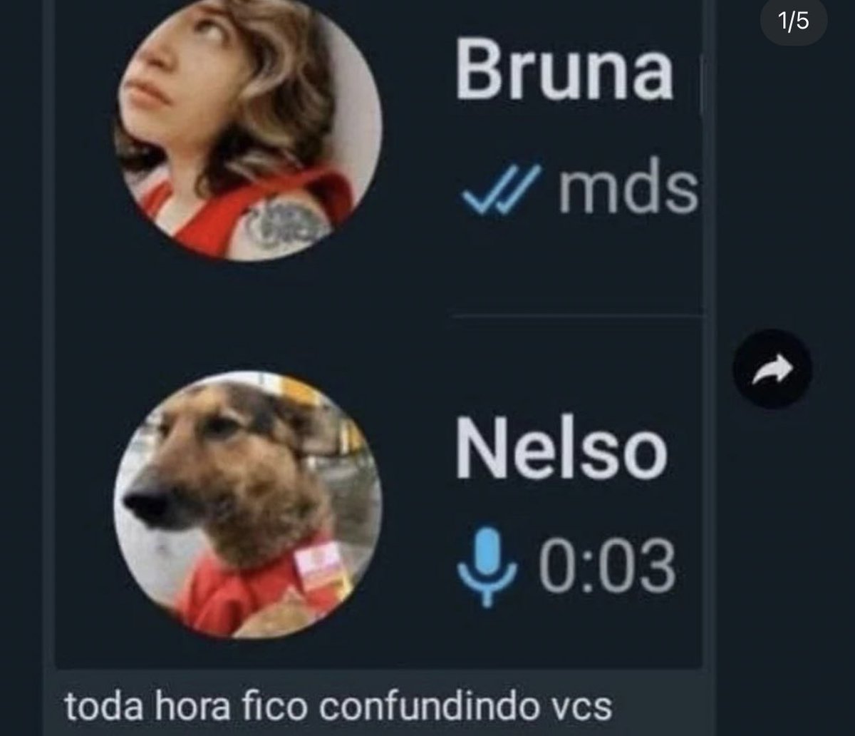Shitpost só que de verdade (@shitpostverdade) on Twitter photo 