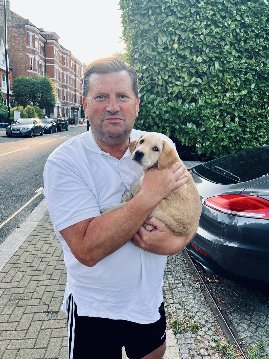 David Stones tweet media