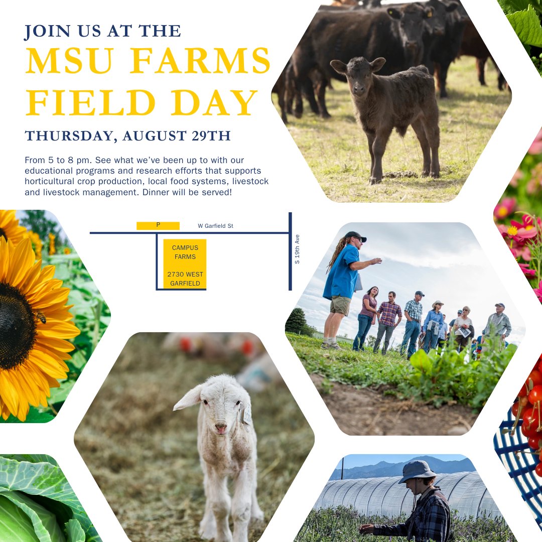 MSUCollegeofAg's tweet image. Join us this Thursday for the first-ever Campus Farms field day!