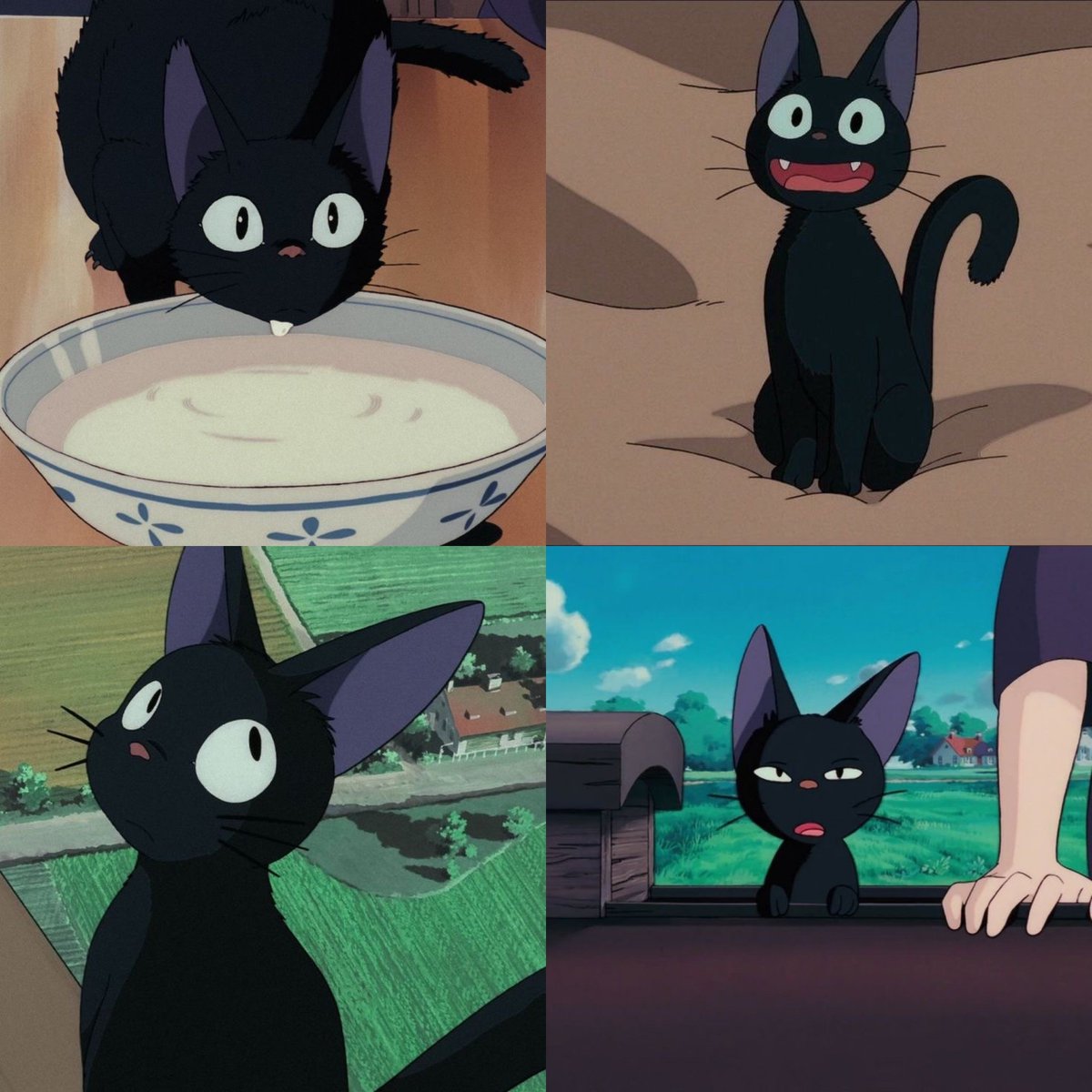 Jiji 🖤