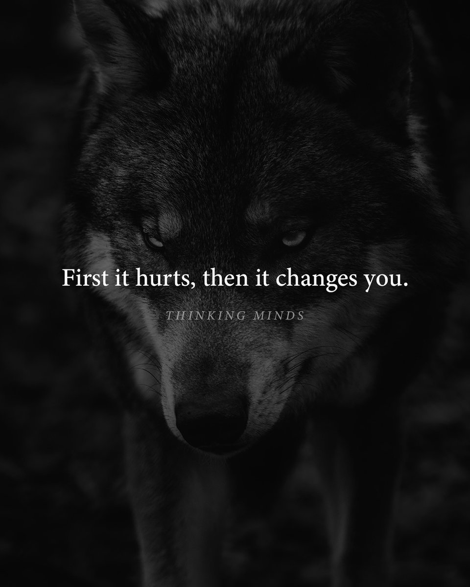 Mind Essentials (@mind_essentials) on Twitter photo 