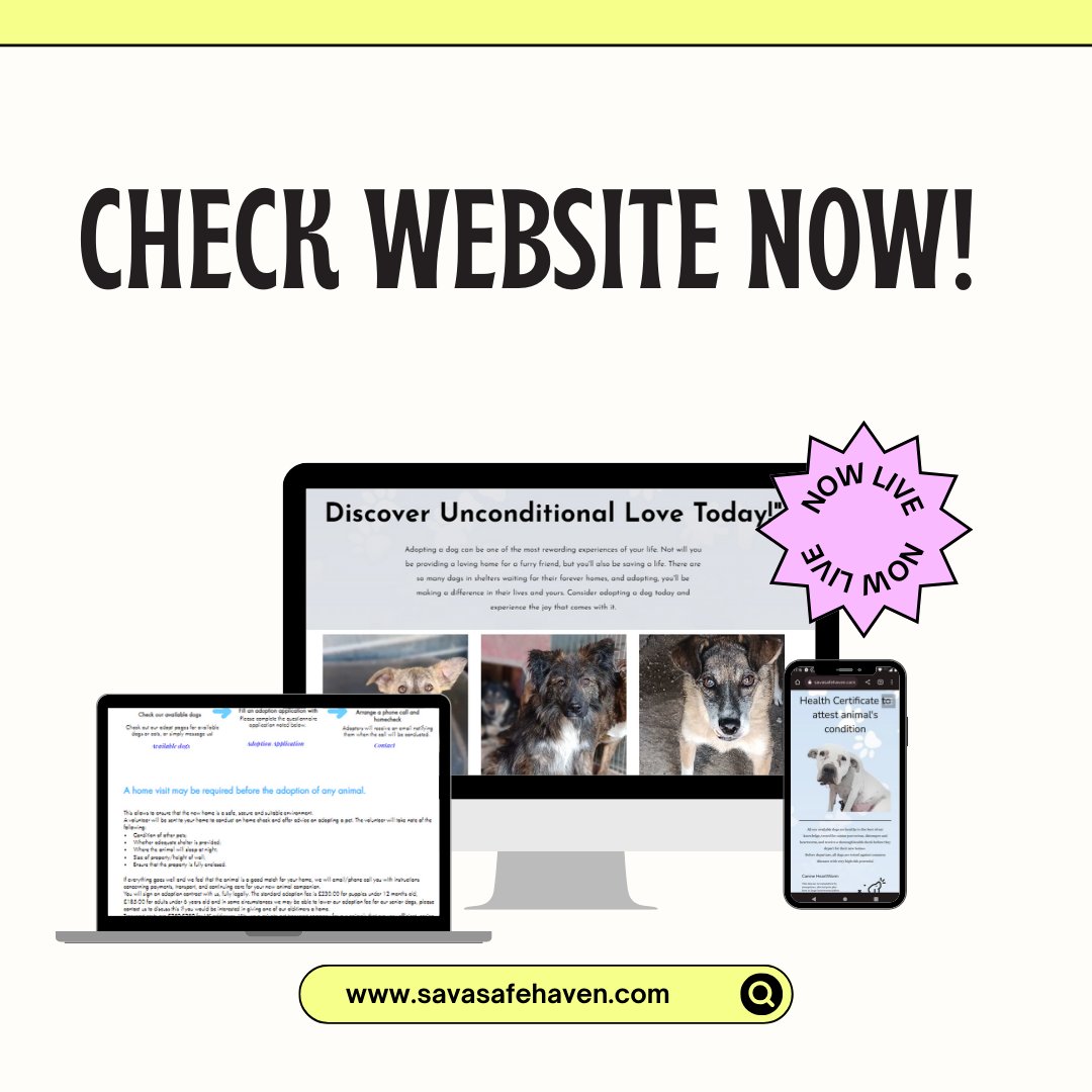SavaSafeHaven's tweet photo. Sava's Safe Haven website is easy to use and contains useful information you may need before applying to adopt a dog from our center. From health information to step-by-step process.
https://t.co/gcDuJvOggT https://t.co/hhtq35bb3r